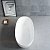Ванна Solid Surface отдельностящая
слив-перелив в комплекте VBT-6S01MW 1700x750x550 белый матовый Vincea
